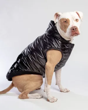 Shiny Puffer Dog Coat in Black (FINAL SALE)